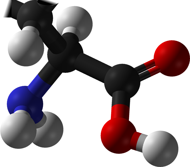 L amino acid any